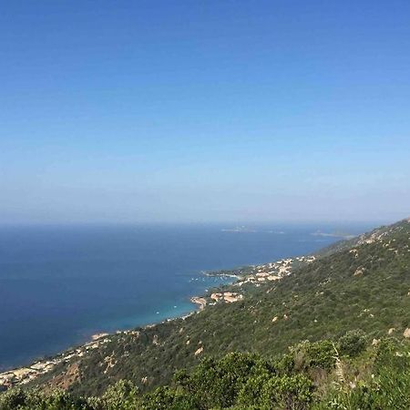 Ajaccio Magnifique T2 Neuf 40M2 Avec Balcon Au Trottel 4 Couchages Wifi Clim Parking Plage A Pieds 100M Kültér fotó