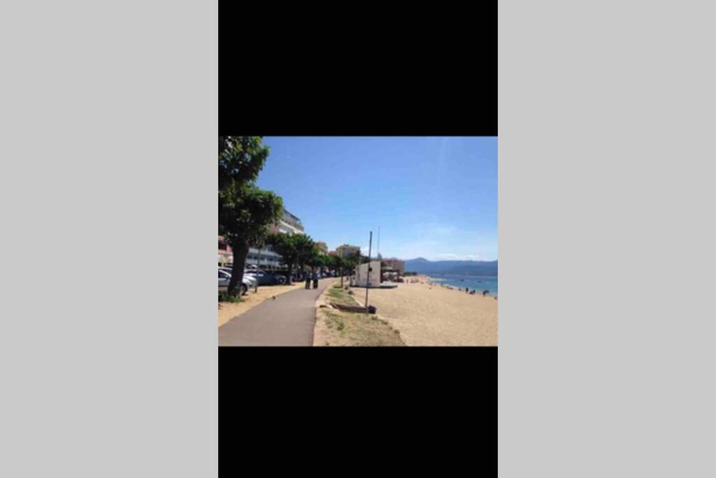 Ajaccio Magnifique T2 Neuf 40M2 Avec Balcon Au Trottel 4 Couchages Wifi Clim Parking Plage A Pieds 100M Kültér fotó