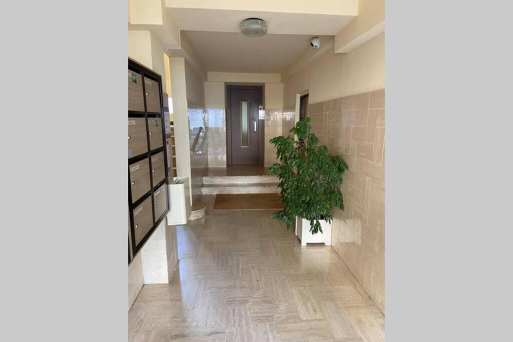 Ajaccio Magnifique T2 Neuf 40M2 Avec Balcon Au Trottel 4 Couchages Wifi Clim Parking Plage A Pieds 100M Kültér fotó