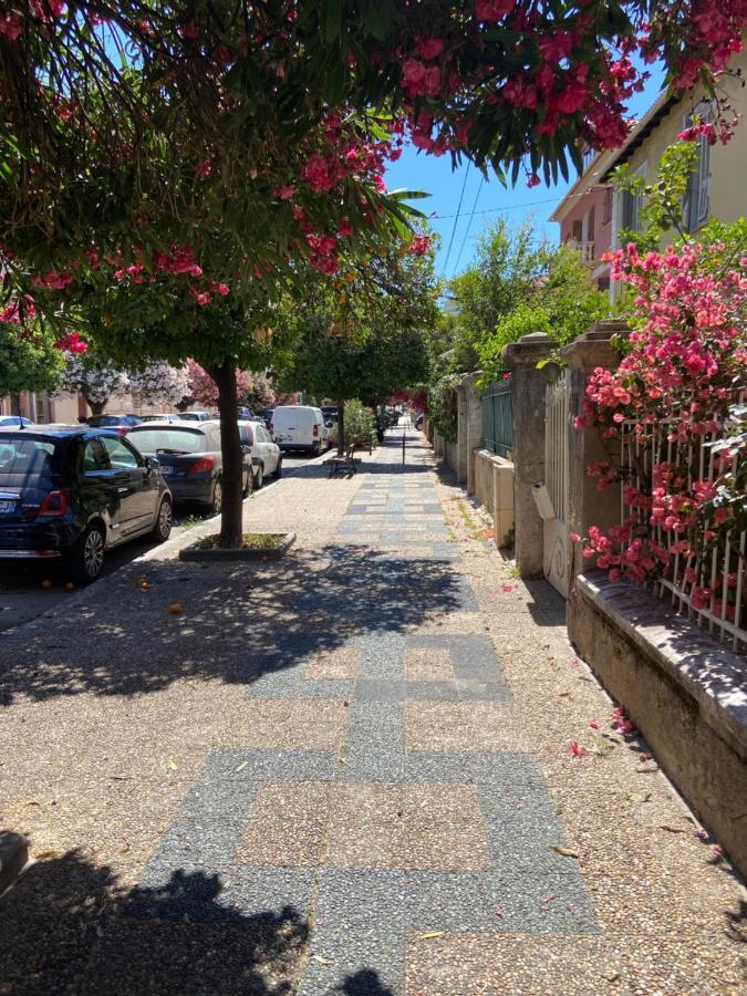 Ajaccio Magnifique T2 Neuf 40M2 Avec Balcon Au Trottel 4 Couchages Wifi Clim Parking Plage A Pieds 100M Kültér fotó